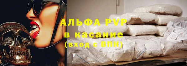 шишки Алзамай