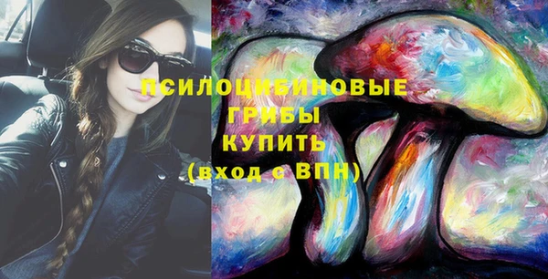 шишки Алзамай
