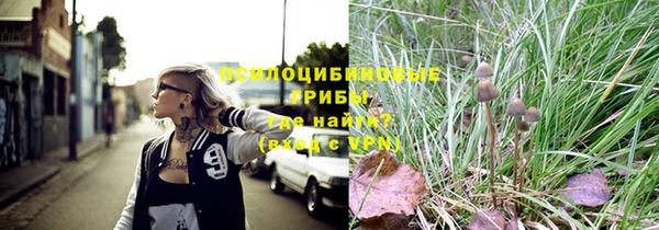 дурь Алексин