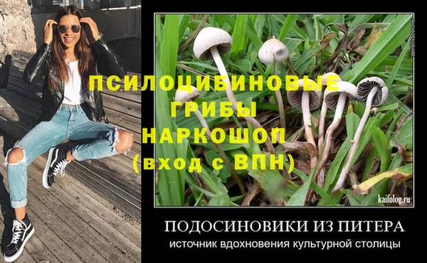 PSILOCYBIN Алексеевка