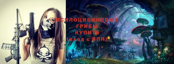 дурь Алексин