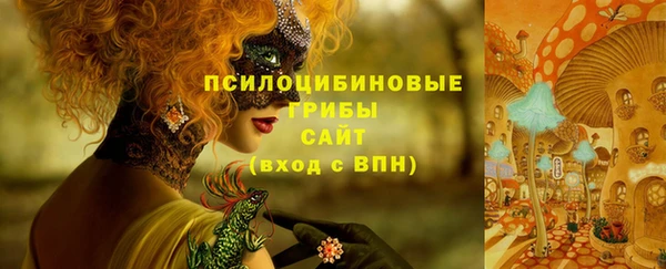 дурь Алексин